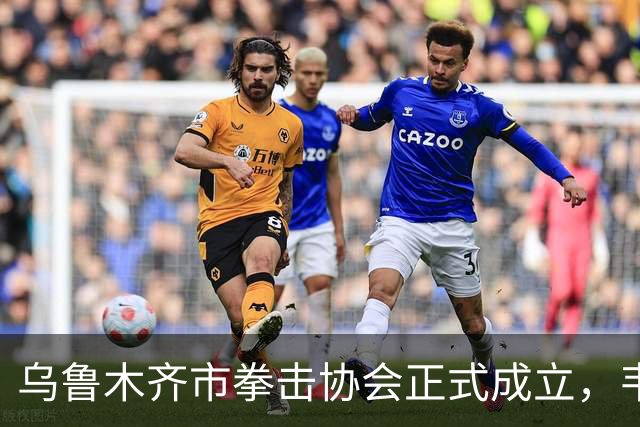 乌鲁木齐市拳击协会正式成立，韦伟担任会长